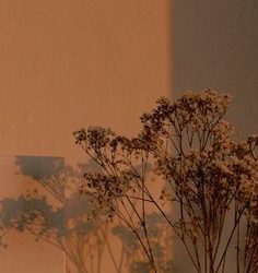lockscreens & icons